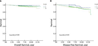 Identifying clinicopathological risk factors for regional lymph node metastasis in Chinese patients with T1 breast cancer: a population-based study